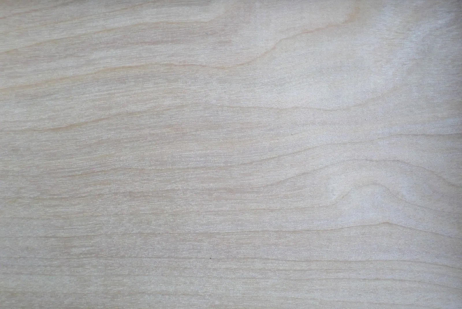 Natural wood grain veneer